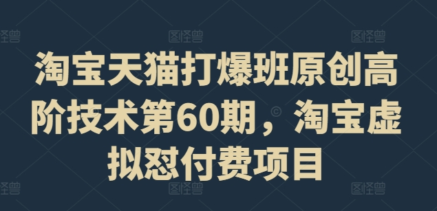 淘宝天猫打爆班原创高阶技术第60期，淘宝虚拟怼付费项目-天使资源网