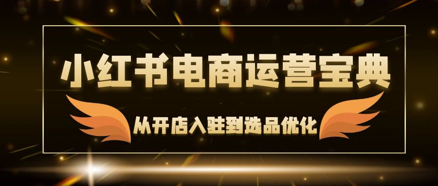 小红书电商运营宝典：从开店入驻到选品优化，一站式解决你的电商难题-天使资源网