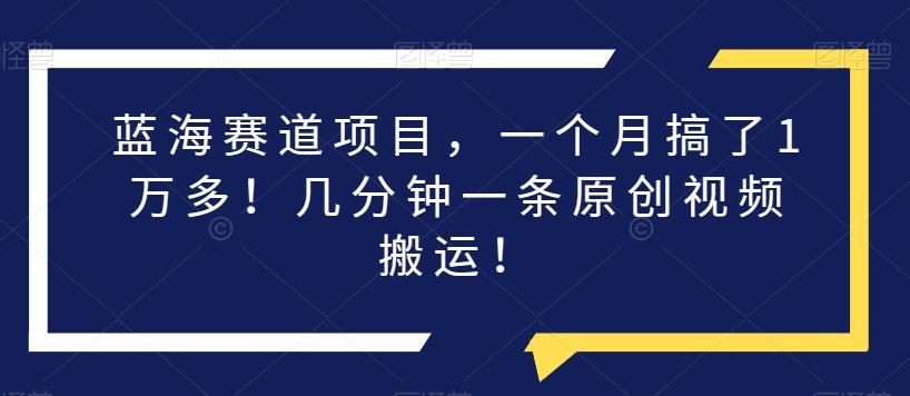 蓝海赛道项目，一个月搞了1万多！几分钟一条原创视频搬运！-天使资源网
