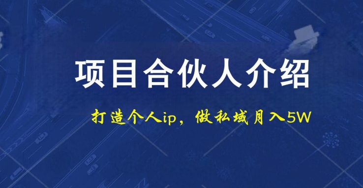 项目合伙人项目，打造个人IP，做私域月入5W，小白勿扰-天使资源网