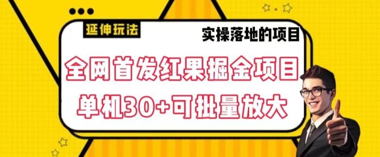 全网首发红果免费短剧掘金项目，单机30+可批量放大【揭秘】-天使资源网
