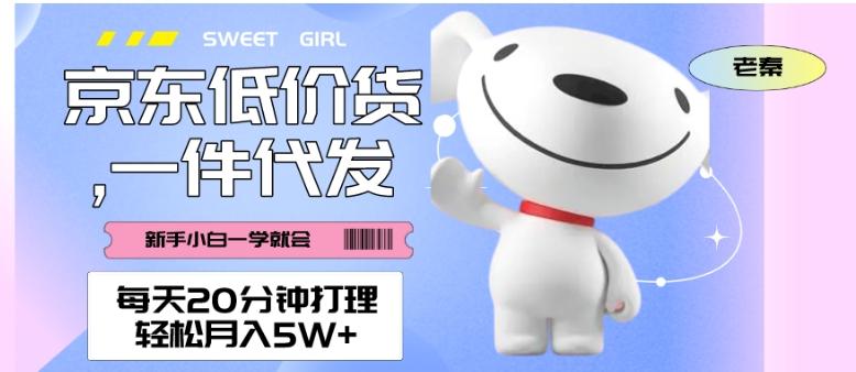 每天20分钟打理京东低价货，一件代发-轻松月入5W＋-天使资源网