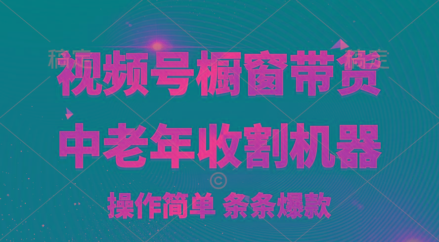 [你的孩子成功取得高位]视频号最火爆赛道，橱窗带货，流量分成计划，条…-天使资源网