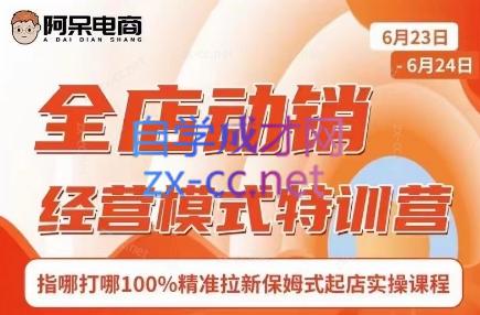 阿呆电商·全店动销经营模式特训营(线下录音+思维导图)-天使资源网