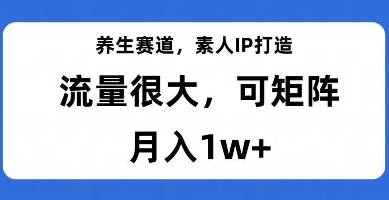 养生赛道，素人IP打造，流量很大，可矩阵，月入1w+【揭秘】-天使资源网