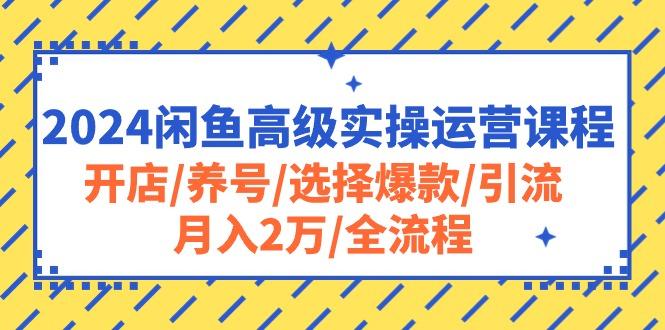 2024闲鱼高级实操运营课程：开店/养号/选择爆款/引流/月入2万/全流程-天使资源网