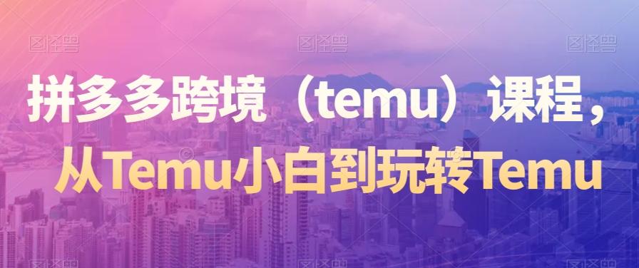 拼多多跨境（temu）课程，从Temu小白到玩转Temu-天使资源网
