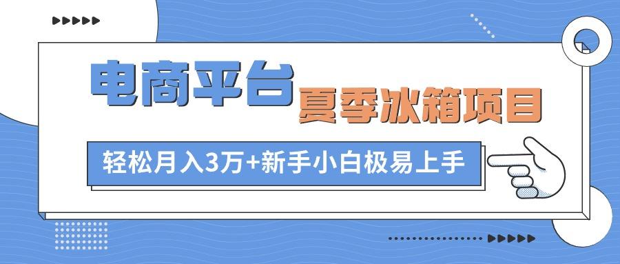 电商平台夏季冰箱项目，轻松月入3万+，新手小白极易上手-天使资源网