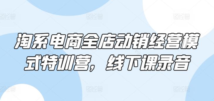 淘系电商全店动销经营模式特训营，线下课录音-天使资源网