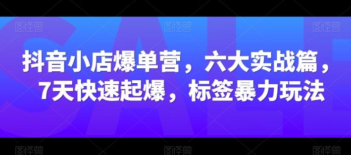 抖音小店爆单营，六大实战篇，7天快速起爆，标签暴力玩法-天使资源网