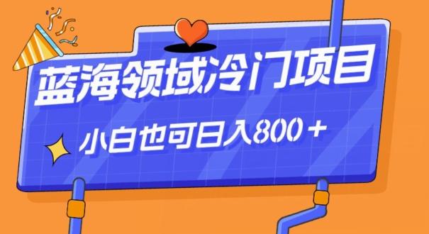 蓝海领域冷门赛道，一单39.9，日入800＋-天使资源网