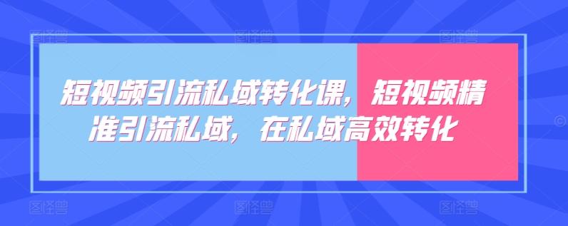 短视频引流私域转化课，短视频精准引流私域，在私域高效转化-天使资源网