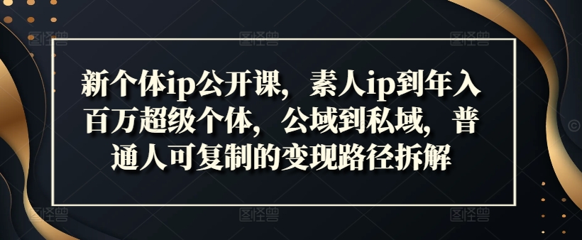 新个体ip公开课，素人ip到年入百万超级个体，公域到私域，普通人可复制的变现路径拆解-天使资源网