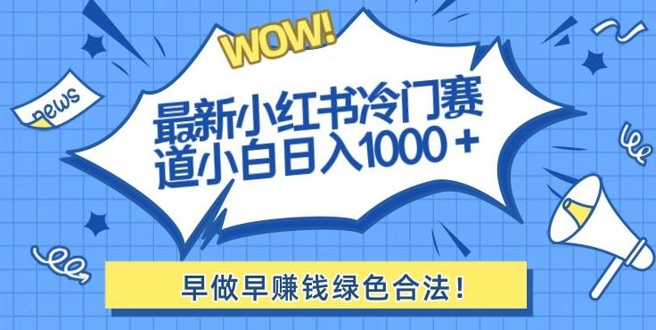 最新小红书冷门赛道日入1000+一部手机小白轻松-天使资源网