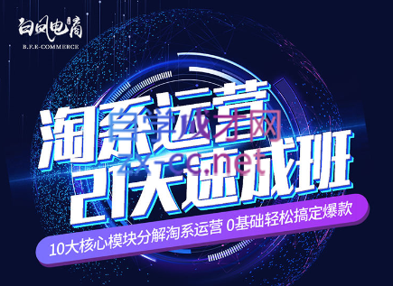 淘系运营21天速成班(更新7月)-天使资源网