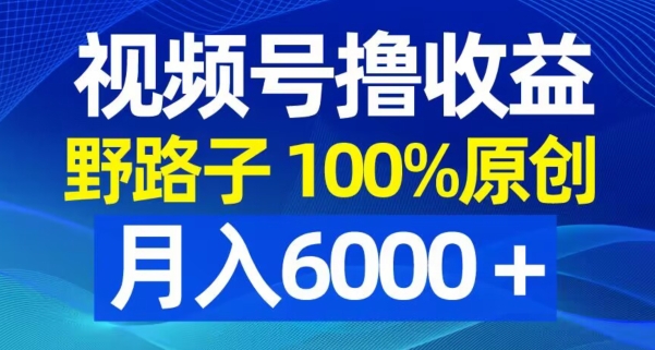 视频号野路子撸收益，100%原创，条条爆款，月入6000＋【揭秘】-天使资源网
