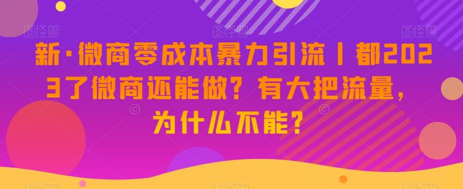 新·微商零成本暴力引流丨都2023了微商还能做？有大把流量，为什么不能？-天使资源网