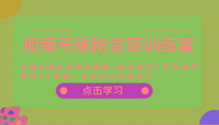 视频号涨粉变现训练营-实现微信生态私域运营的3个维度，达到变现的最大化-天使资源网