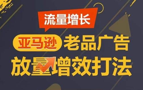 流量增长 亚马逊老品广告放量增效打法，短期内广告销量翻倍-天使资源网