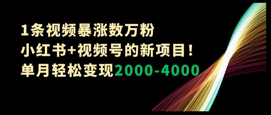 1条视频暴涨数万粉–小红书+视频号的新项目！单月轻松变现2000-4000【揭秘】-天使资源网