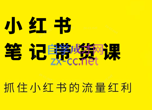 张宾·小红书笔记带货课(更新9月)-天使资源网