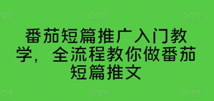 番茄短篇推广入门教学，全流程教你做番茄短篇推文-天使资源网