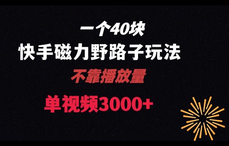 一个40块，快手联合美团磁力新玩法，无视机制野路子玩法，单视频收益4位数【揭秘】-天使资源网