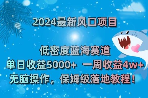 2024最新风口项目，低密度蓝海赛道，单日收益5000+，一周收益4w+！【揭秘】-天使资源网