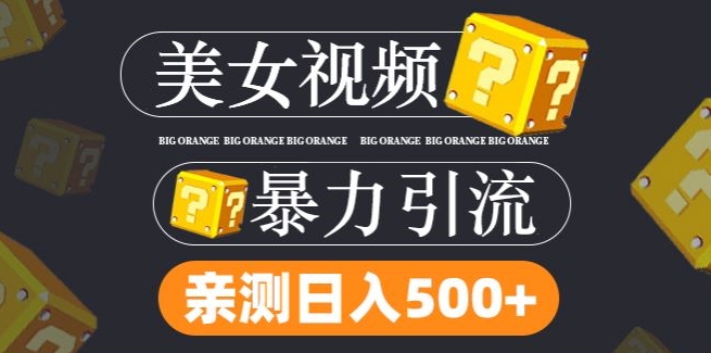 搬运tk美女视频全网分发，日引s粉300+，轻松变现，不限流量不封号【揭秘】-天使资源网