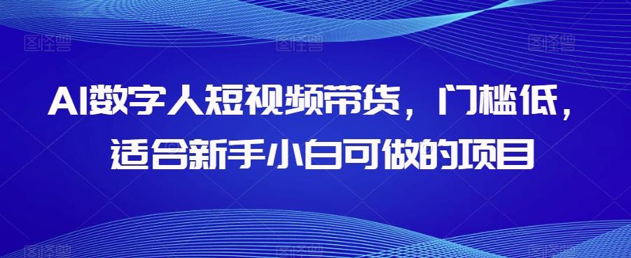 AI数字人短视频带货，门槛低，适合新手小白可做的项目-天使资源网