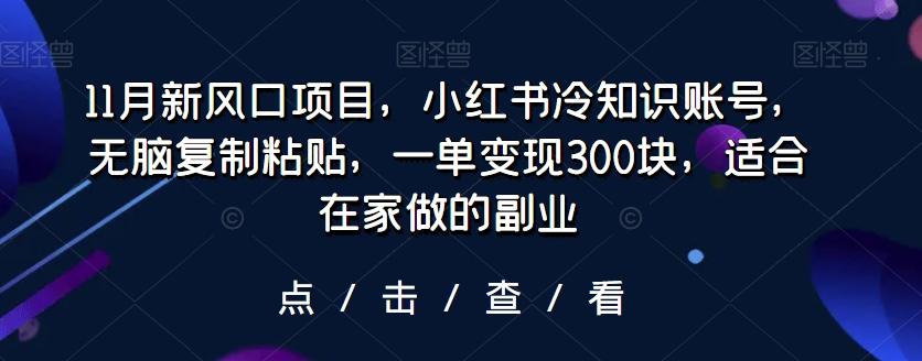 11月新风口项目，小红书冷知识账号，无脑复制粘贴，一单变现300块，适合在家做的副业-天使资源网