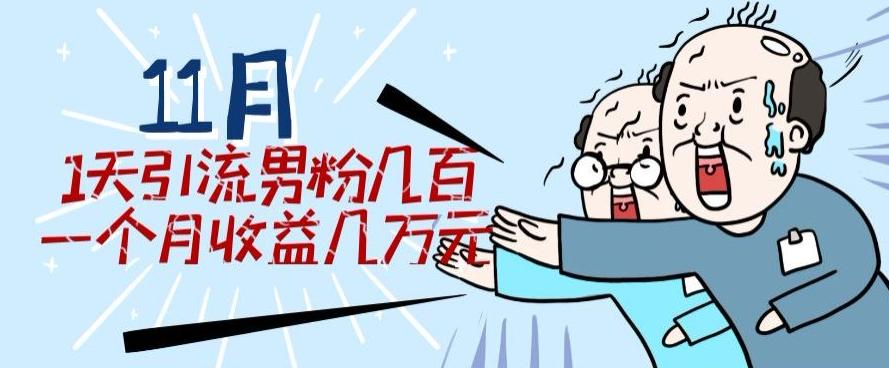 11月最新每天引流男粉300+一个月收益几万元-天使资源网