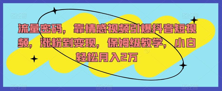 流量密码，靠情感视频引爆抖音短视频，涨粉到变现，保姆级教学，小白轻松月入2万【揭秘】-天使资源网