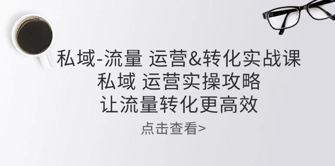 私域-流量 运营&转化实操课：私域 运营实操攻略 让流量转化更高效-天使资源网