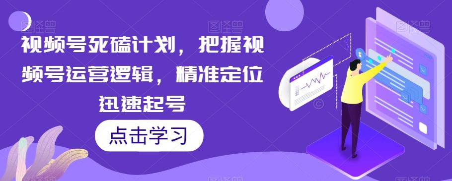 视频号死磕计划，把握视频号运营逻辑，精准定位迅速起号-天使资源网