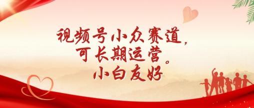视频号小众赛道，可长期运营，小白友好【揭秘】-天使资源网