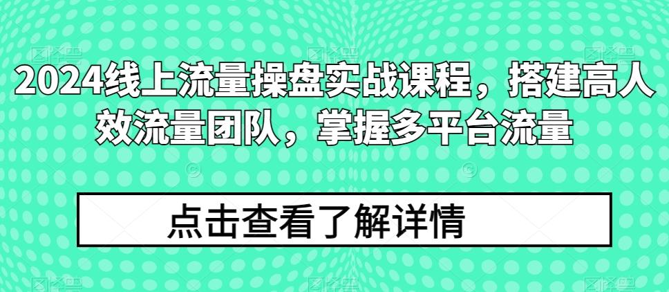 2024线上流量操盘实战课程，搭建高人效流量团队，掌握多平台流量-天使资源网