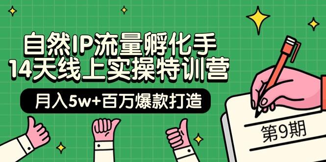 (9881期)自然IP流量孵化手 14天线上实操特训营【第9期】月入5w+百万爆款打造 (74节)-天使资源网