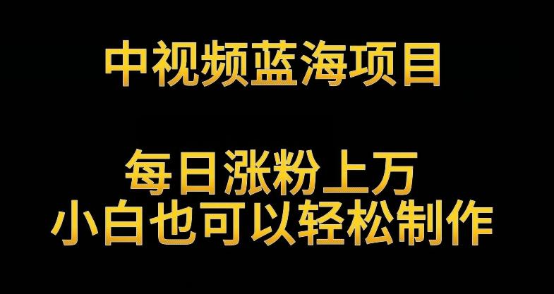 中视频蓝海项目，解读英雄人物生平，每日涨粉上万，小白也可以轻松制作，月入过万不是梦【揭秘】-天使资源网