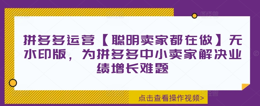 拼多多运营【聪明卖家都在做】无水印版，为拼多多中小卖家解决业绩增长难题-天使资源网
