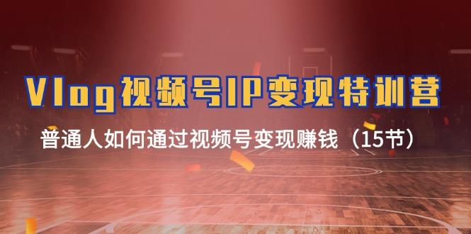 Vlog 视频号IP变现特训营，普通人如何通过视频号变现赚钱(15节-天使资源网