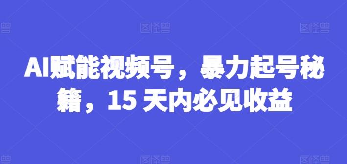 AI赋能视频号，暴力起号秘籍，15 天内必见收益【揭秘】-天使资源网