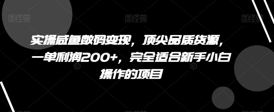 实操咸鱼数码变现，顶尖品质货源，一单利润200+，完全适合新手小白操作的项目【揭秘】-天使资源网