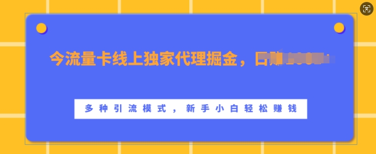 流量卡线上独家代理掘金，日入1k+ ，多种引流模式，新手小白轻松上手【揭秘】-天使资源网
