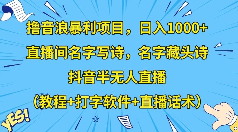 撸音浪暴利项目，日入1000+，直播间名字写诗，名字藏头诗，抖音半无人直播（教程+打字软件+直播话术）【揭秘】-天使资源网