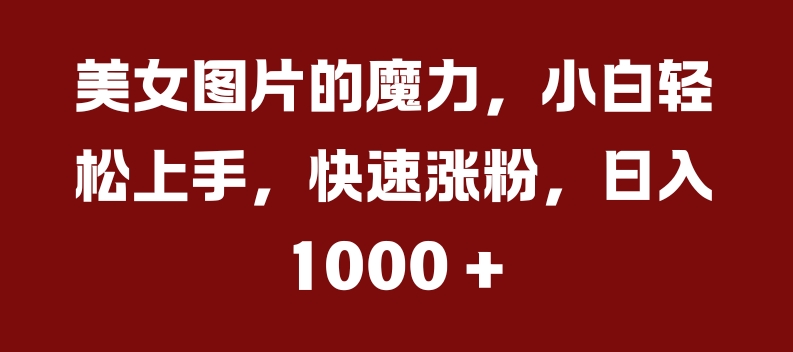 美女图片的魔力，小白轻松上手，快速涨粉，日入几张【揭秘】-天使资源网
