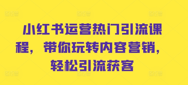 小红书运营热门引流课程，带你玩转内容营销，轻松引流获客-天使资源网