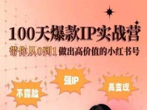 小红书100天爆款IP实战营，带你从0到1做出高价值的小红书号-天使资源网
