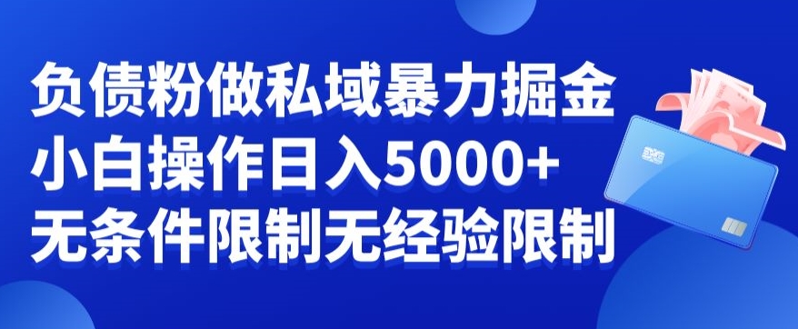 负债粉私域暴力掘金，小白操作入5000，无经验限制，无条件限制【揭秘】-天使资源网