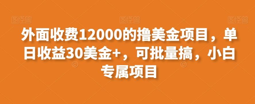 外面收费12000的撸美金项目，单日收益30美金+，可批量搞，小白专属项目-天使资源网